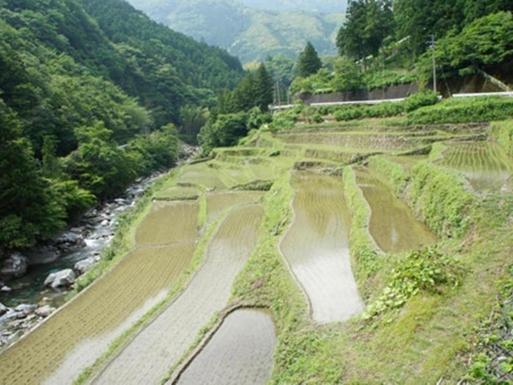 Auberge Tosayama Kōchi Dış mekan fotoğraf