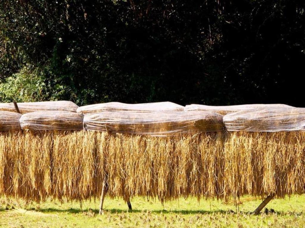 Auberge Tosayama Kōchi Dış mekan fotoğraf